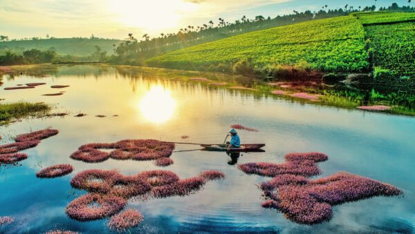 đất hồ tảo hồng